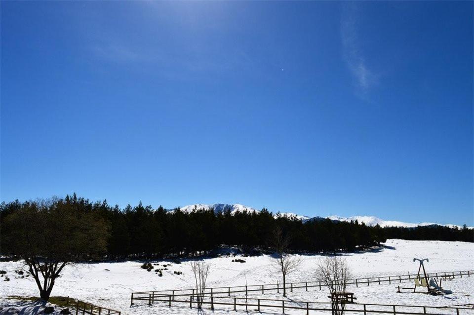 Apt confortable au pied des pistes et de la forêt Bolquere Exterior foto
