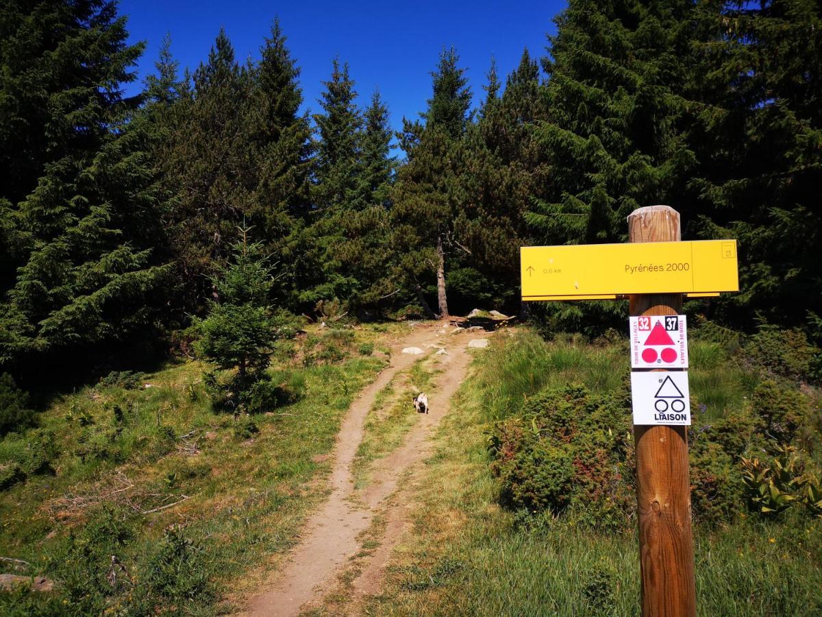 Apt confortable au pied des pistes et de la forêt Bolquere Exterior foto