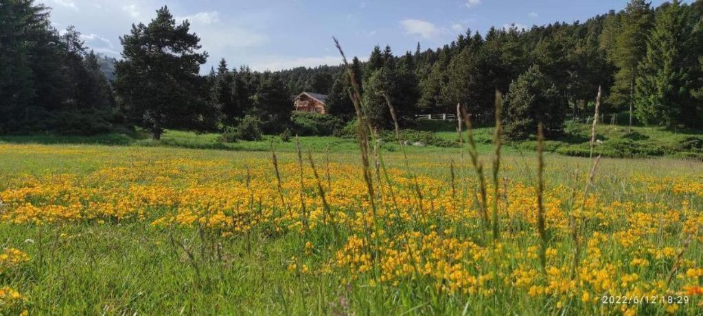 Apt confortable au pied des pistes et de la forêt Bolquere Exterior foto