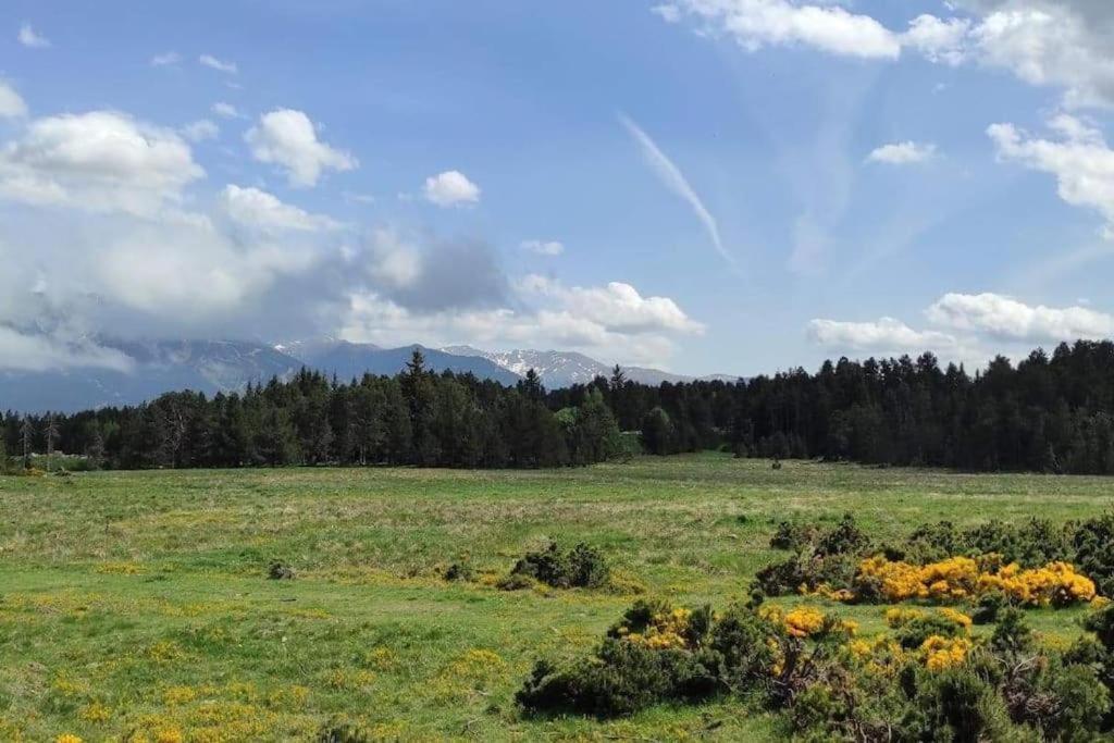 Apt confortable au pied des pistes et de la forêt Bolquere Exterior foto