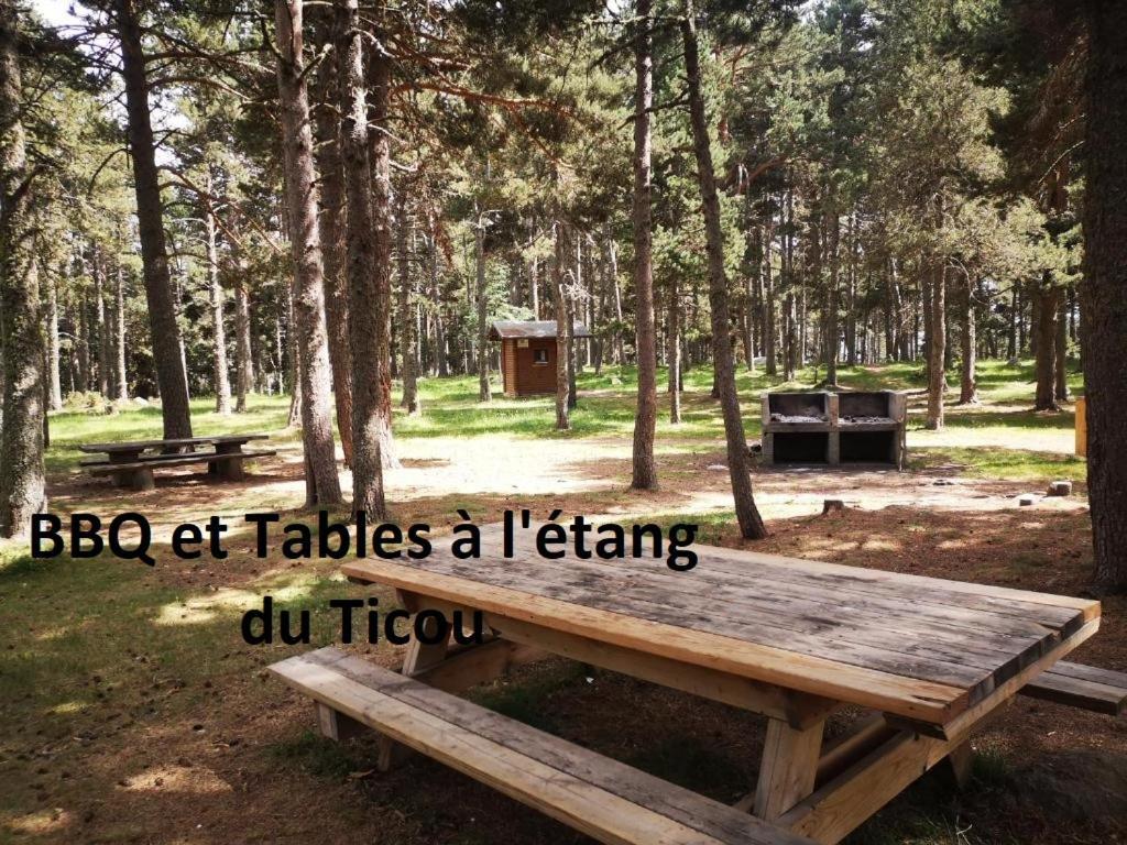 Apt confortable au pied des pistes et de la forêt Bolquere Exterior foto